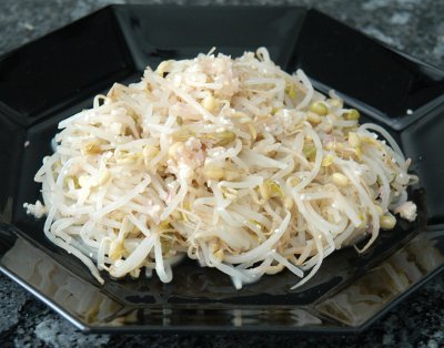 Bambussprossensalat