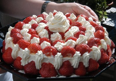 Quarkpudding mit Erdbeeren