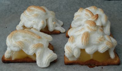 Äpfel im Schnee