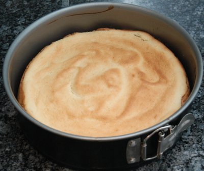 Zitronenkuchen