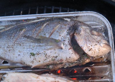Grillierte Dorade