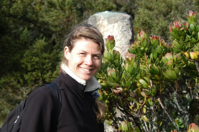 Sandra atop Table Mountain in front of a Protea plant