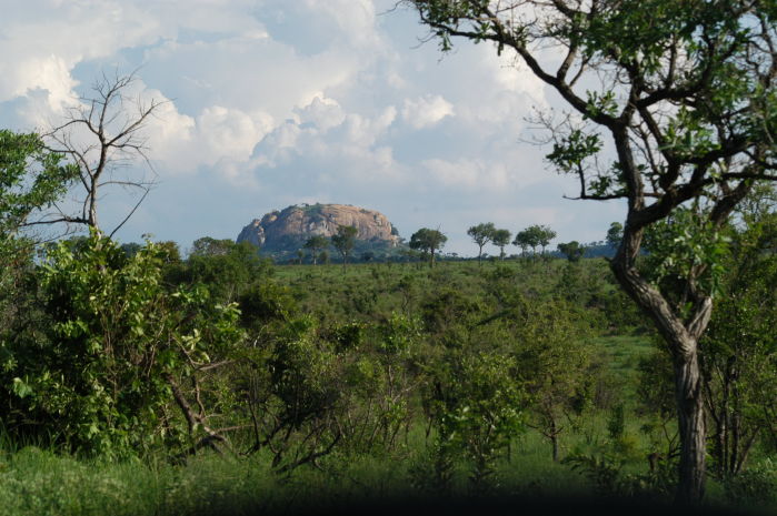 Landscape of Kruger Park