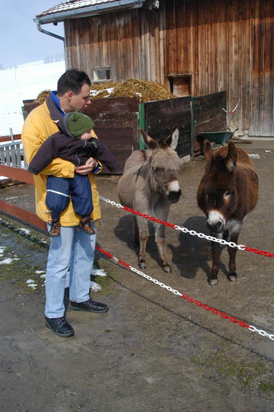 Richard with godson Luis viewing donkey's in Appenzell